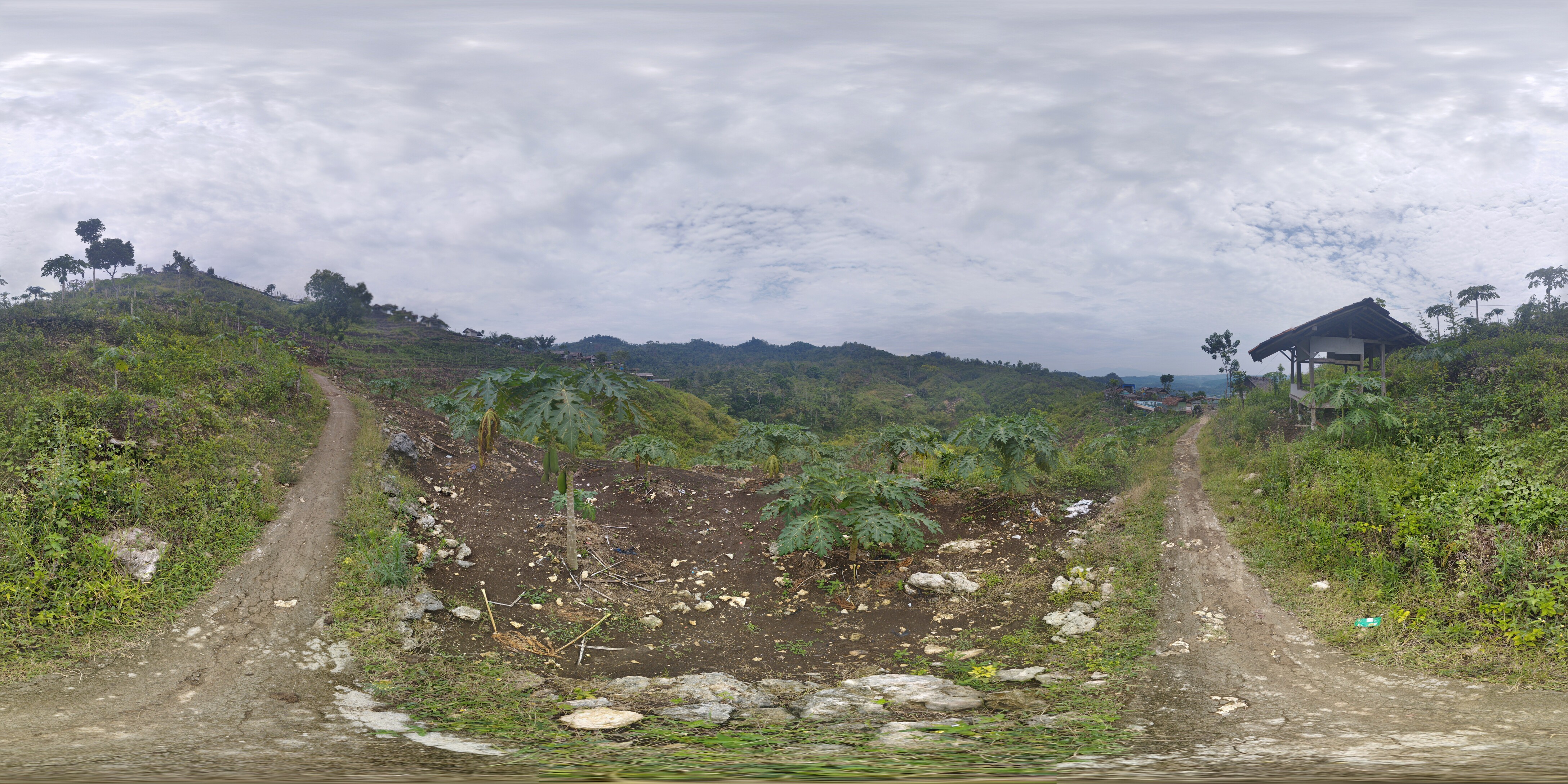 Panyangrayan Bawah 6